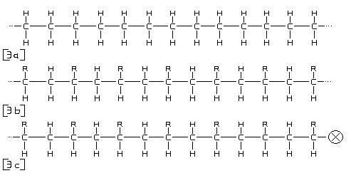 Polymer Hydrocarbon Chains